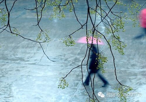 連日秋雨，警惕這些疾病乘虛而入！