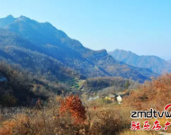 爬山：嵖岈山溫泉小鎮(zhèn)度假酒店,是我市首家五星級度假酒店,各項硬件設(shè)施齊全,服務(wù)周到入住酒店即送溫泉門票.嵖岈山溫泉小鎮(zhèn)旁邊有座海拔不到200米的花山, ,適合喜歡休閑健身的游客登高游玩。