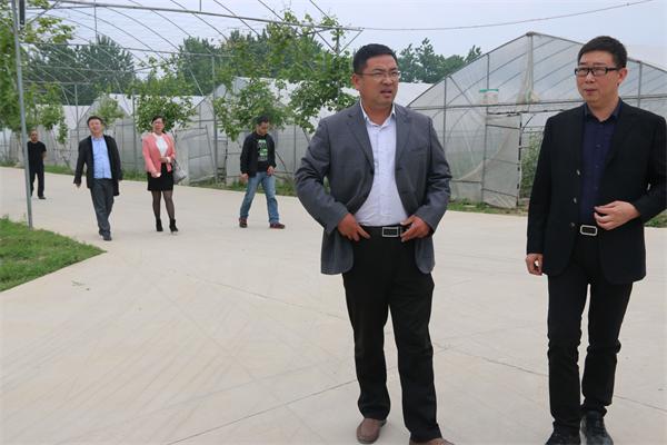 駐馬店市企業(yè)家協(xié)會會長王海周到常務(wù)理事單位益農(nóng)豐達莊園指導工作