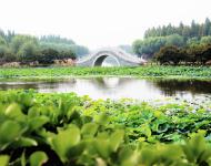 古柳垂堤風(fēng)淡淡，新荷漫沼葉田田。
