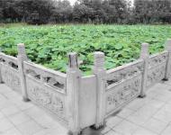 陸上百花競(jìng)芬芳，碧水潭泮默默香。