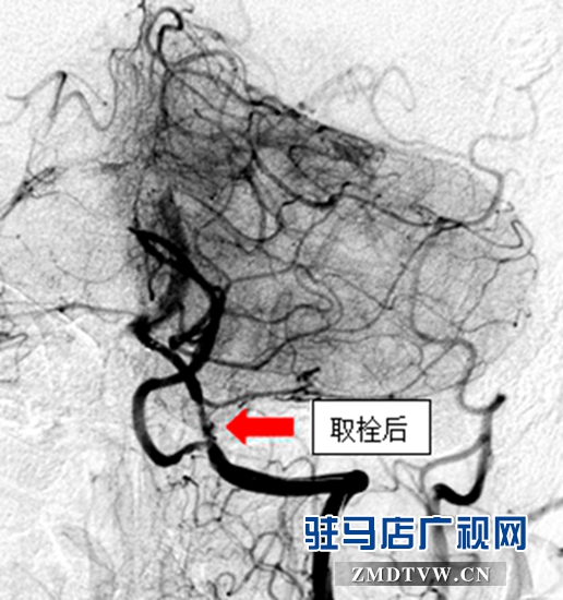 圖片2.jpg