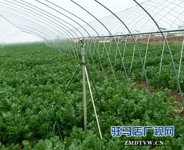 暴風(fēng)截圖201611487349359_副本.jpg