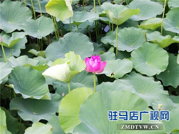 微信圖片_20170606174105.jpg