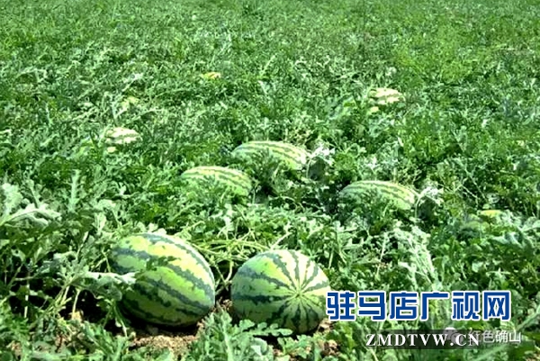微信圖片_20170630172056.jpg