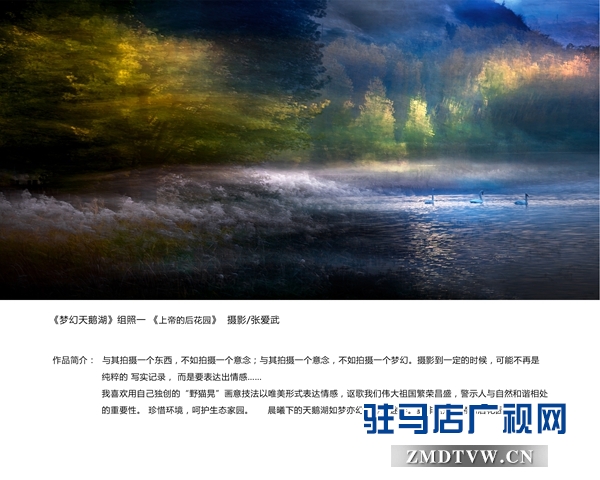 1、《夢幻天鵝湖》一等獎 張愛武.jpg