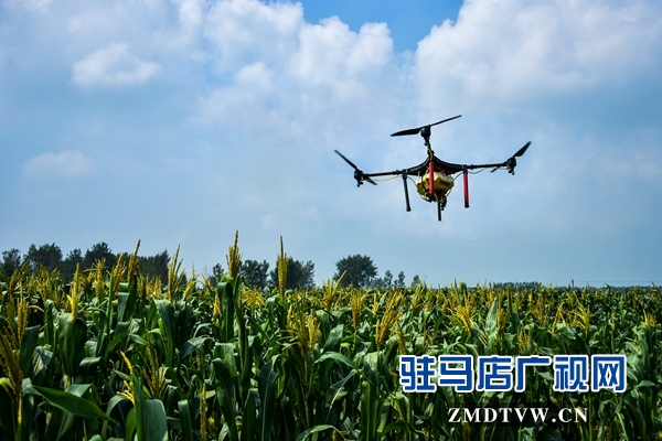 正陽(yáng)縣永興鎮(zhèn)：貧困戶免費(fèi)用上無(wú)人機(jī)打藥啦