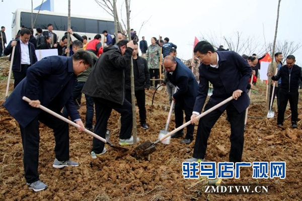 泌陽：全面啟動(dòng)實(shí)施國土綠化提速行動(dòng) 
