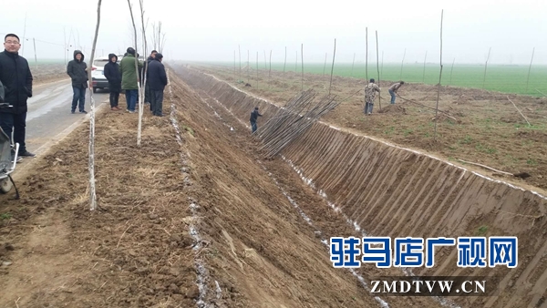 汝南縣三橋鎮(zhèn)利用冬閑 積極實(shí)施國土綠化