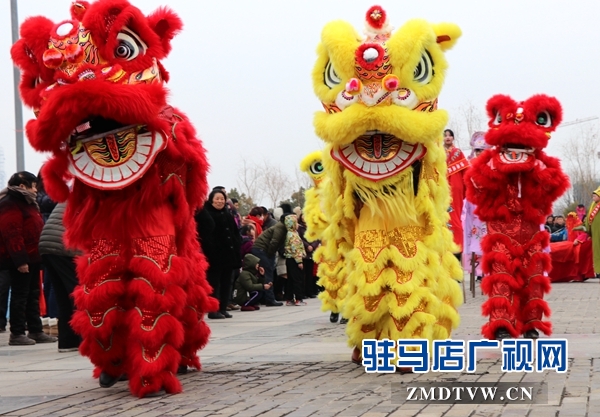 舞龍、耍獅、扭秧歌 駐馬店民間藝術(shù)展演吸引數(shù)千市民圍觀