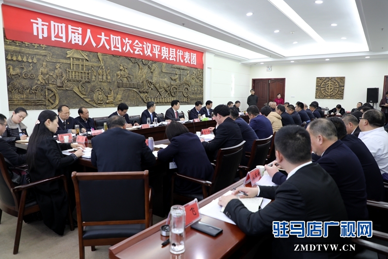 朱是西參加平輿代表團(tuán)的審議政府工作報告，聆聽代表發(fā)言。