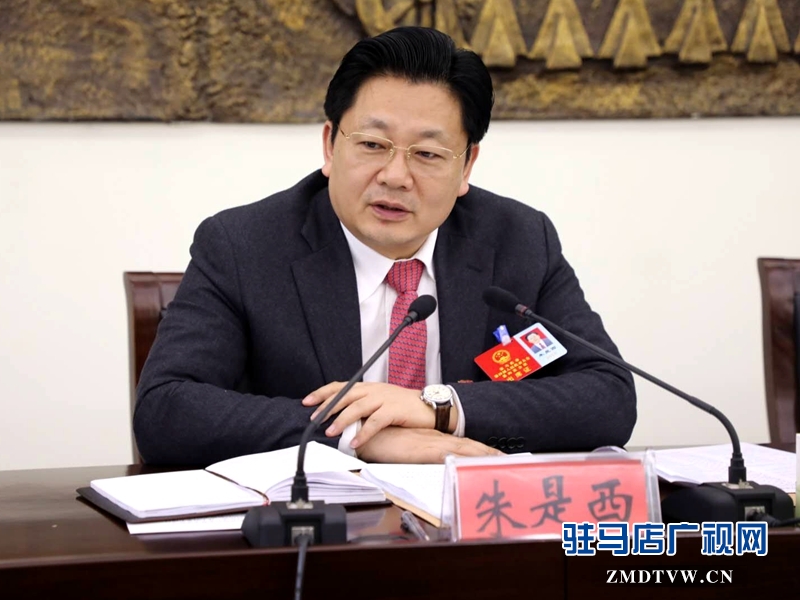 朱是西參加平輿代表團(tuán)的審議政府工作報告時發(fā)言。