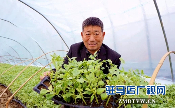 正陽縣“西瓜大王”戴子星助力脫貧攻堅
