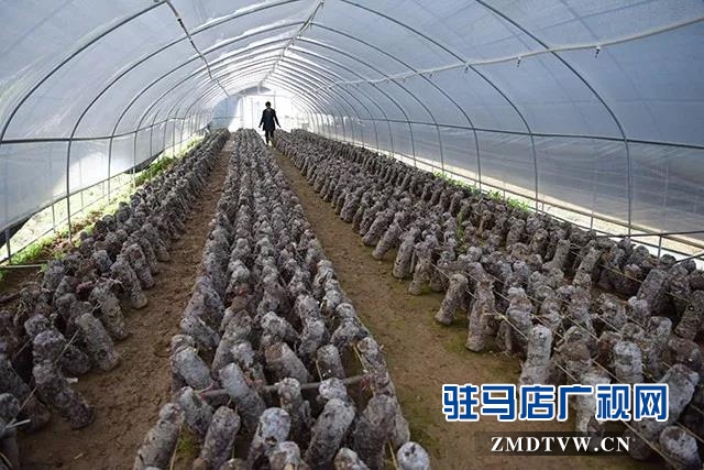  “四議兩公開”工作法集中采訪團到上蔡縣調研 