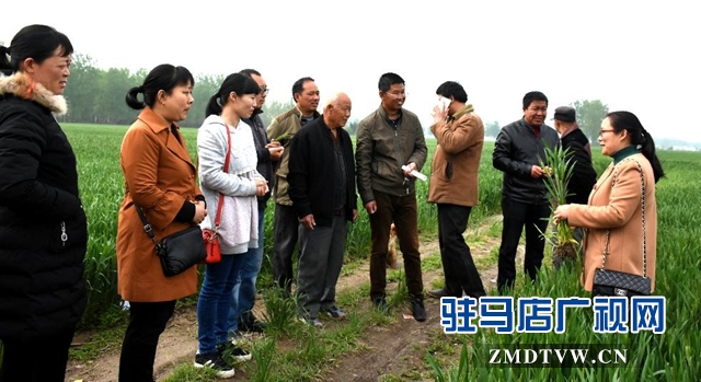 正陽：新型職業(yè)農(nóng)民培訓跟蹤問效到田頭