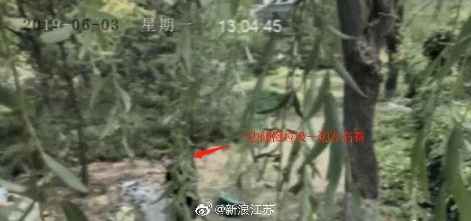 新時代的網(wǎng)紅靠什么才能“躺贏”？ 