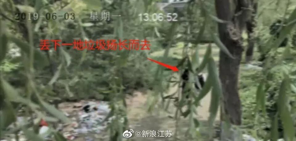 新時代的網(wǎng)紅靠什么才能“躺贏”？ 