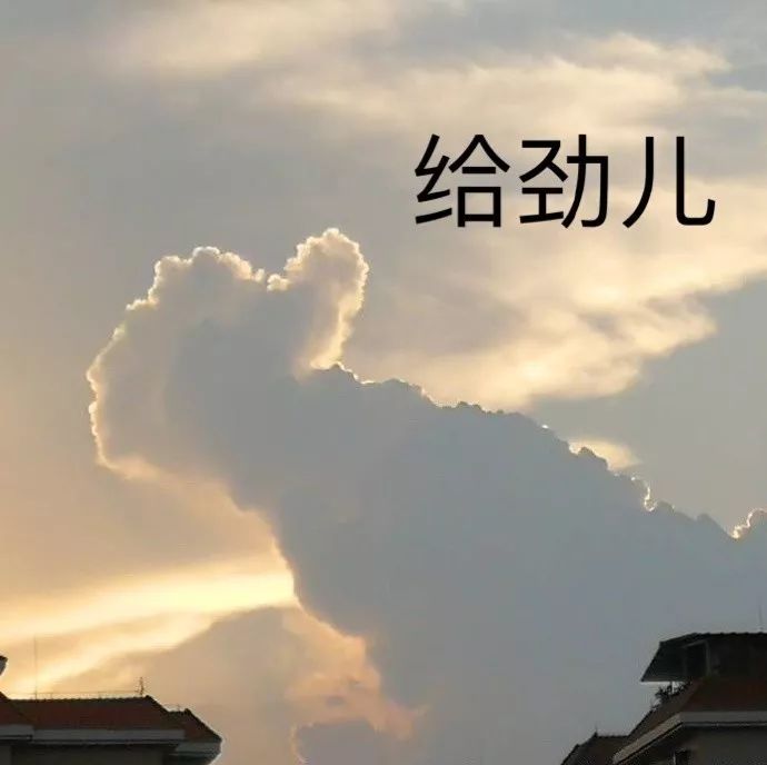 給科學家起沙雕綽號？是不是袁隆平讓你們吃的太飽了？ 