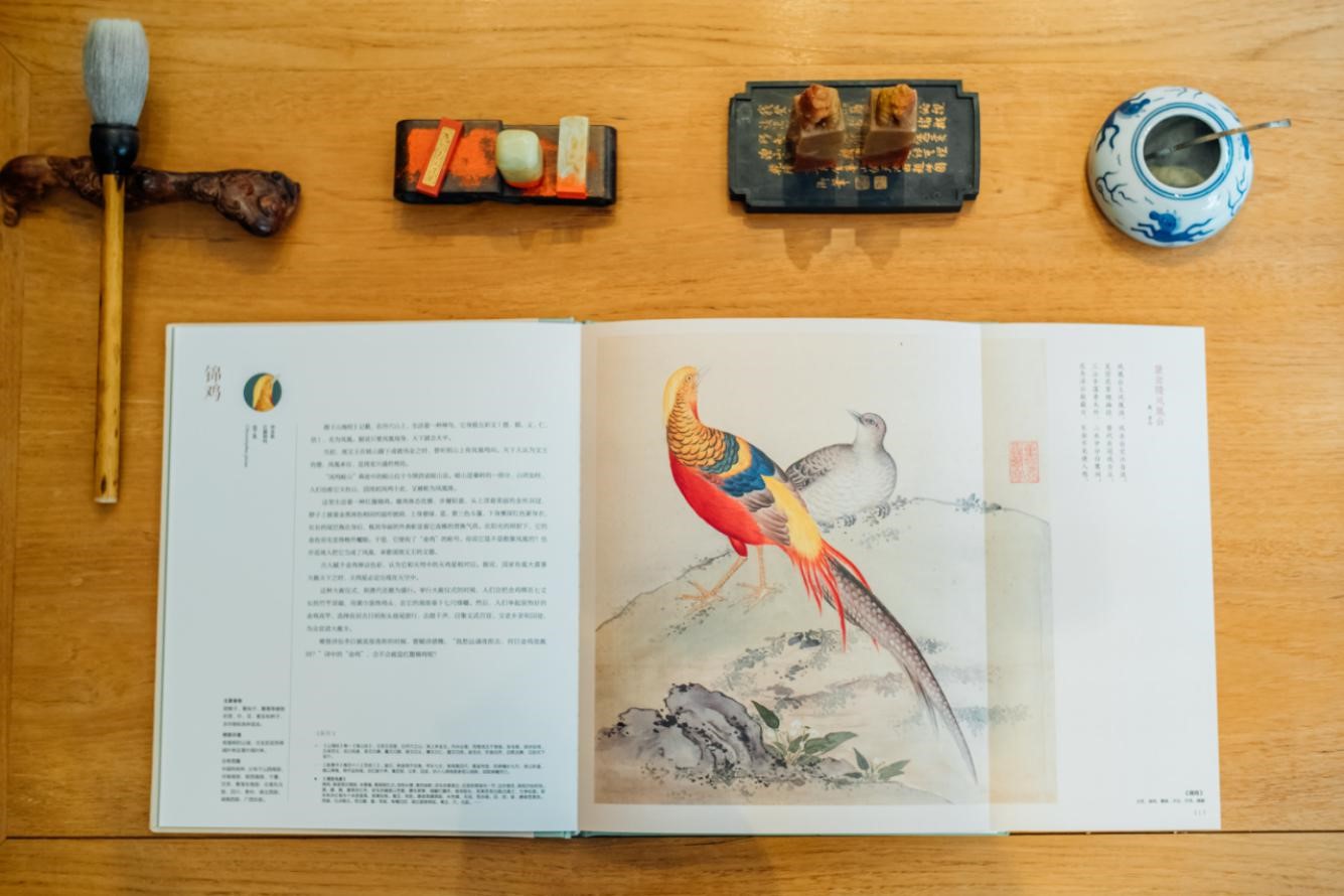 乾隆導(dǎo)演過(guò)一部中國(guó)版“神奇動(dòng)物在哪里”，你看過(guò)沒(méi)？ 