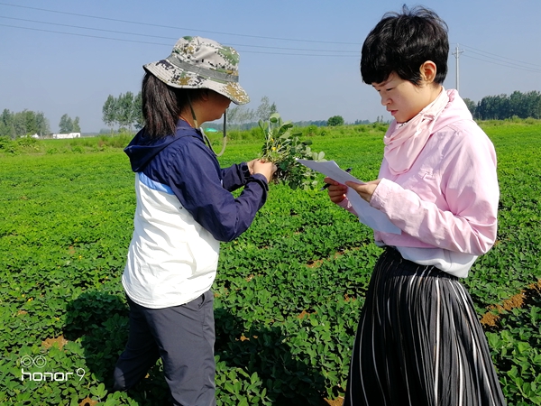 正陽縣氣象局開展災情調(diào)查服務(wù)“秋管”