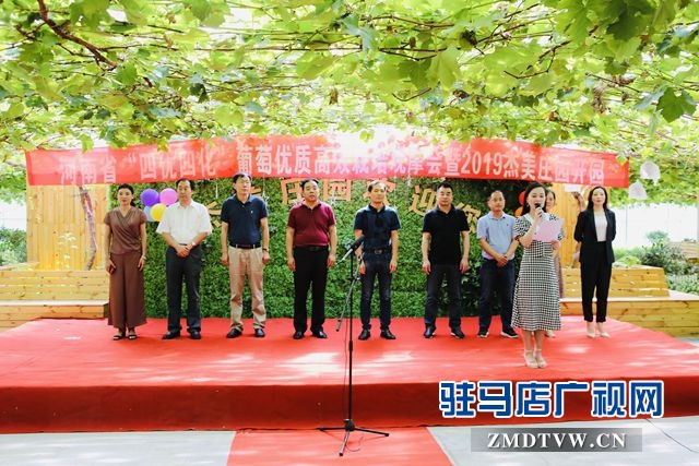 葡萄熟了！駐馬店杰美葡萄莊園盛大開園