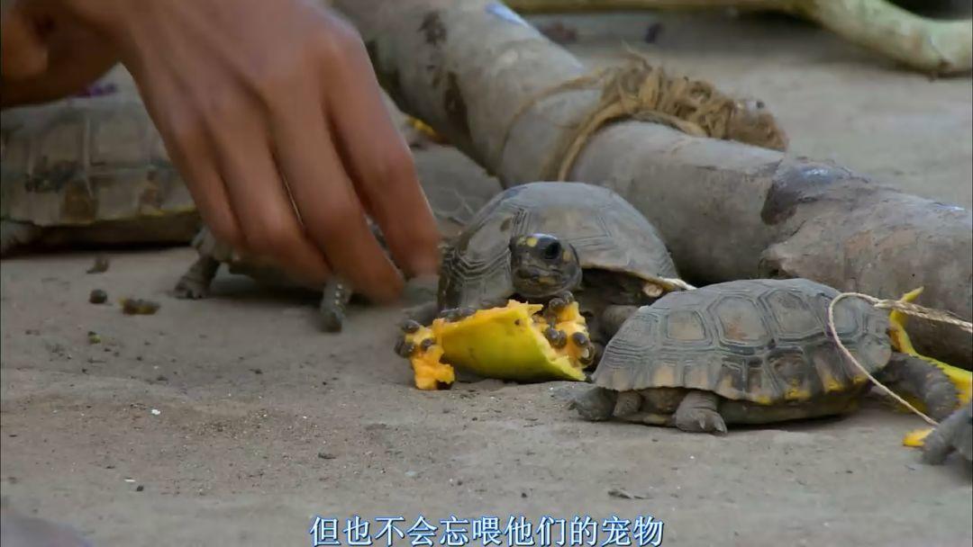 刷屏朋友圈的假「圣母」，今天必須拆穿 