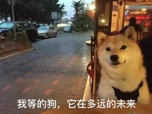 鄭州青年單身率67.57%，全國單身人口已超2億：你為什么單身？ 