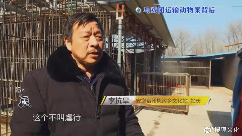 幼虎出逃死了，從業(yè)者慌了：保護(hù)與表演矛盾愈發(fā)突出，何去何從？ 