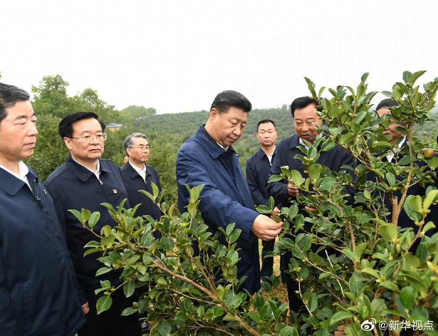 習(xí)近平：路子找到了，就要大膽去做