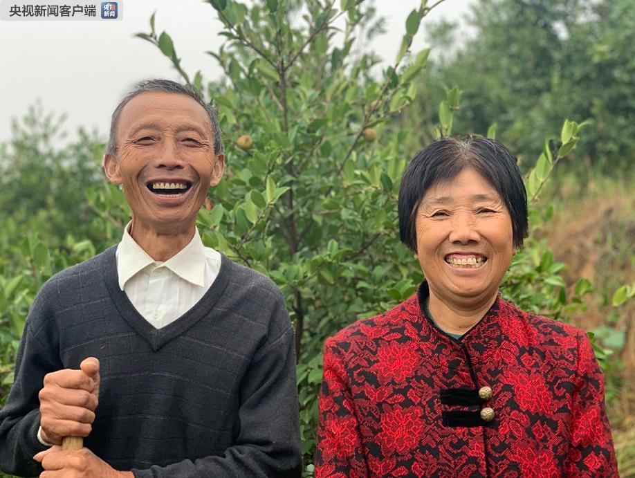 時政新聞眼丨半年之后又“豫”見，習近平一天連看五個考察點