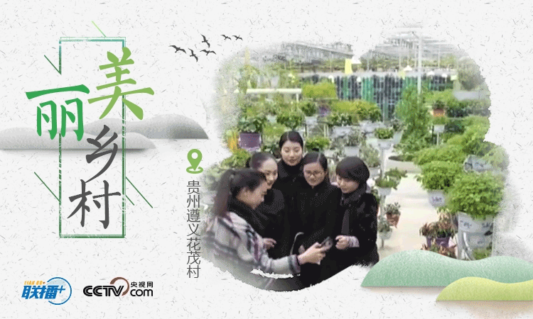 聯(lián)播+ | 五張海報，看總書記考察過的這些美麗鄉(xiāng)村