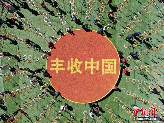竹竿上“長”油條，洛陽民眾“摘”油條慶豐收