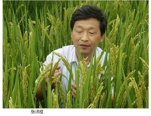 我們有多少位知青出身的兩院院士？ 