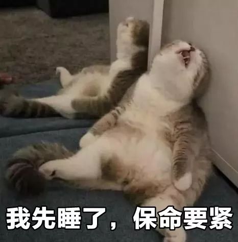 第一批90后即將30歲，你慌了嗎？反正我一點也不慌 
