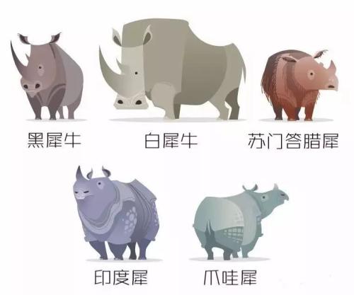 滅絕的不只長江白鱘，在中國，這些物種也已消失…… 
