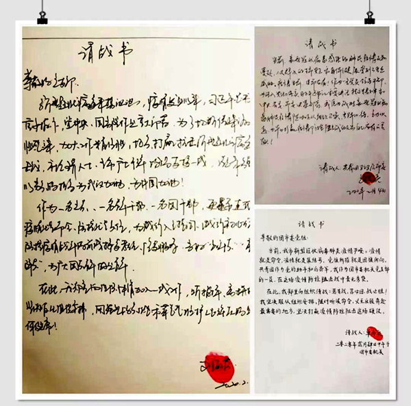 黨有號(hào)召，團(tuán)有行動(dòng) 團(tuán)市委機(jī)關(guān)黨員走上防疫第一線