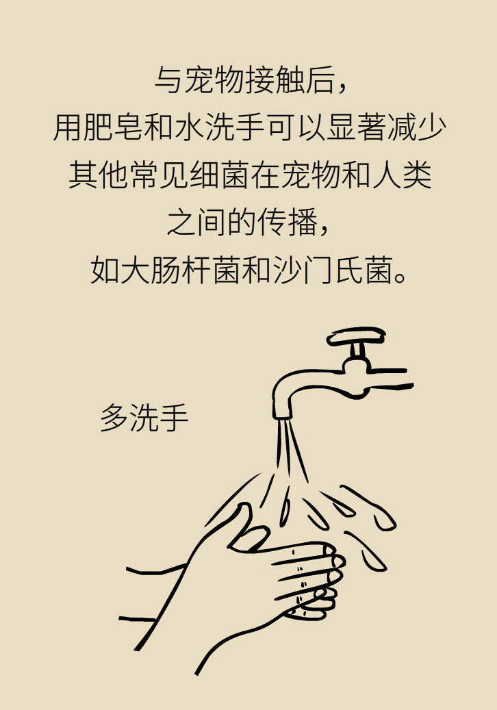 寵物也會感染病毒？