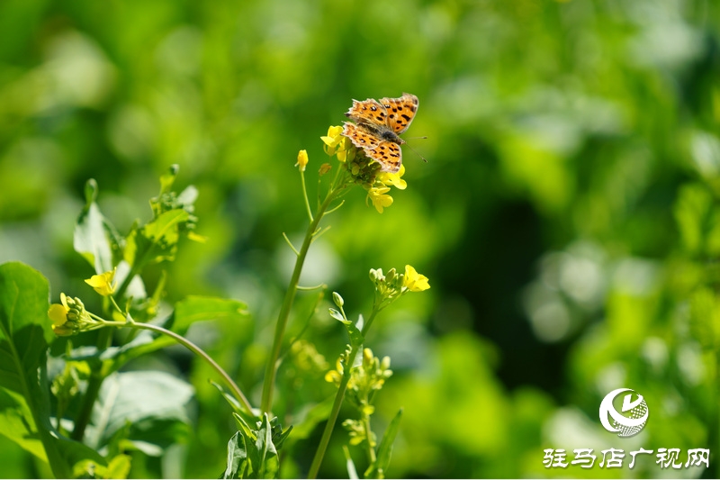 我們堅守，為了早日重逢