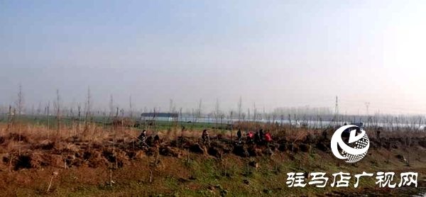 上蔡縣蔡都街道多舉措組織開(kāi)展植樹(shù)造林活動(dòng)