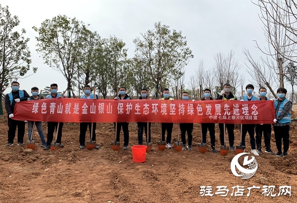 中建七局中原建設公司上蔡片區(qū)項目開展義務植樹活動