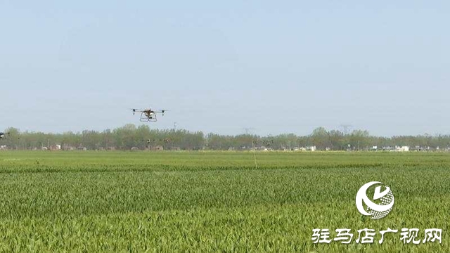 正陽(yáng)縣啟動(dòng)2020年小麥重大病蟲(chóng)害“統(tǒng)防統(tǒng)治”氣象保障服務(wù)