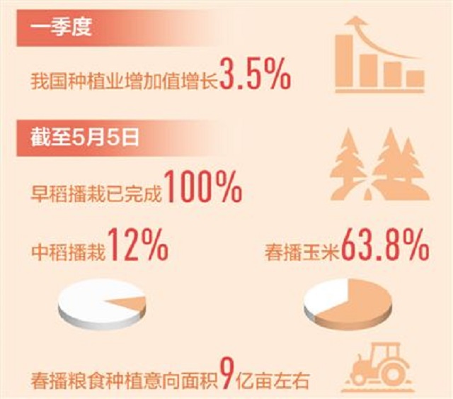 糧倉(cāng)更穩(wěn)固 菜籃更豐富