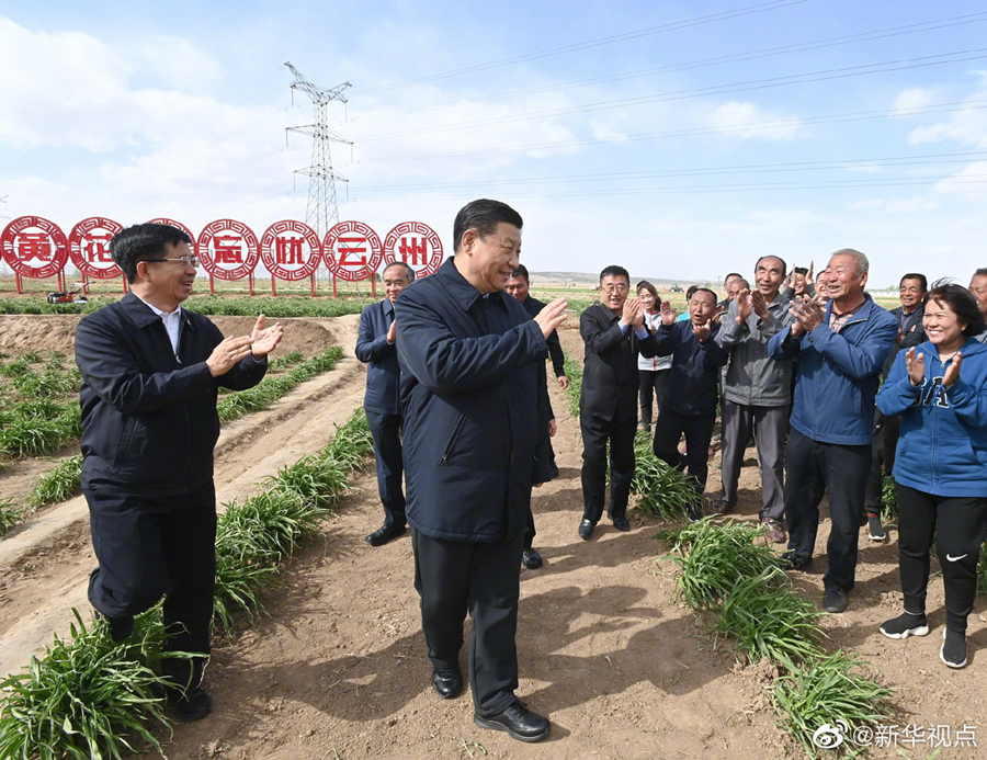 習(xí)近平：讓黃花成為群眾脫貧致富的“搖錢(qián)草”
