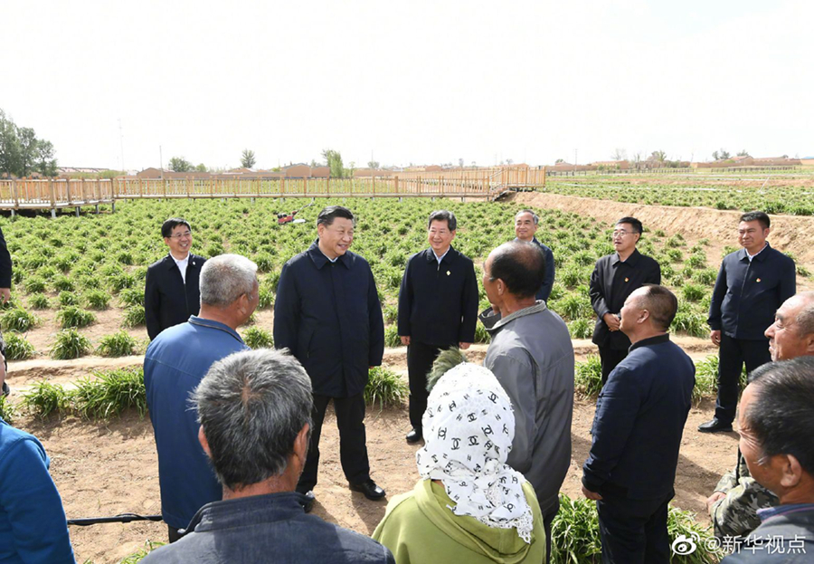 習(xí)近平：讓黃花成為群眾脫貧致富的“搖錢(qián)草”