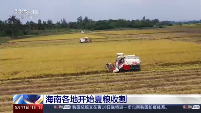 海南各地開(kāi)始夏糧收割