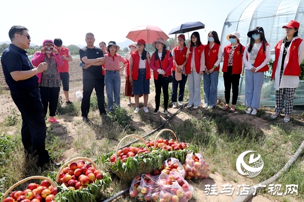 黨員為農(nóng)產(chǎn)品代言，政協(xié)助力脫貧攻堅(jiān) 