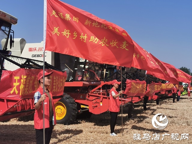 天福、新地花生集團(tuán)助農(nóng)收麥忙 三夏時(shí)節(jié)確保顆粒歸倉(cāng)