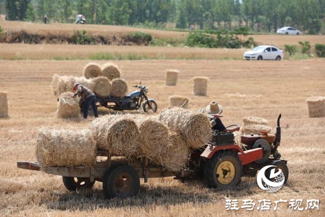 駐馬店驛城區(qū)：推進秸稈回收變廢為寶