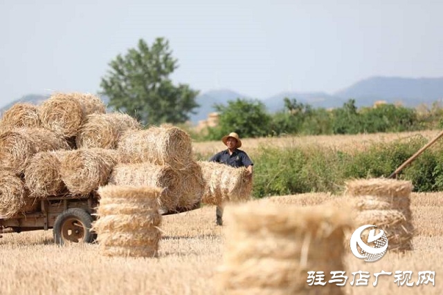駐馬店驛城區(qū)：推進秸稈回收變廢為寶