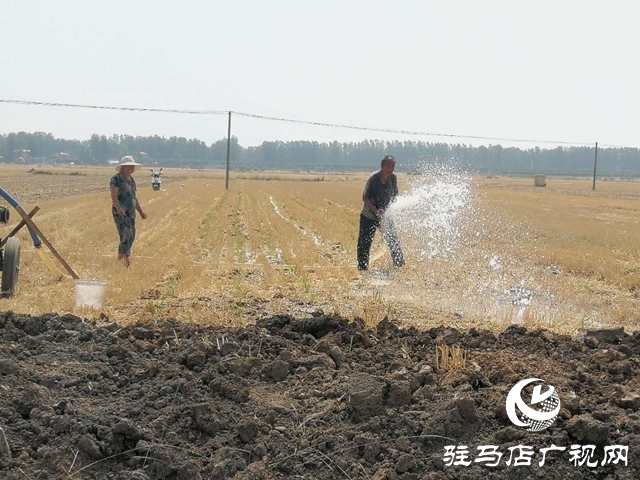 汝南縣邢莊村:筑壩截水、疏通溝渠，抗旱搶種保“三夏”